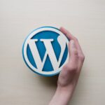 WordPress、投稿タグのリンク有り無しの出力方法