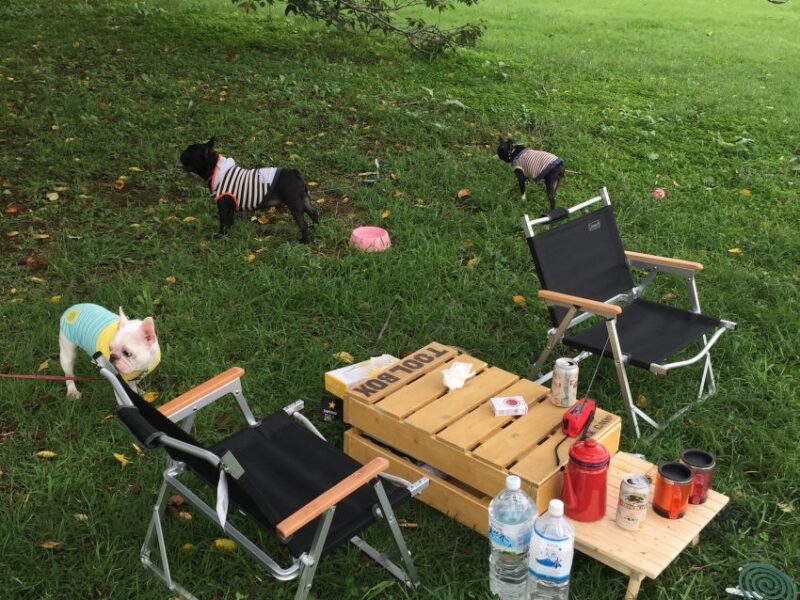 ピクニック@昭和記念公園